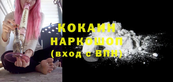 мет Бородино