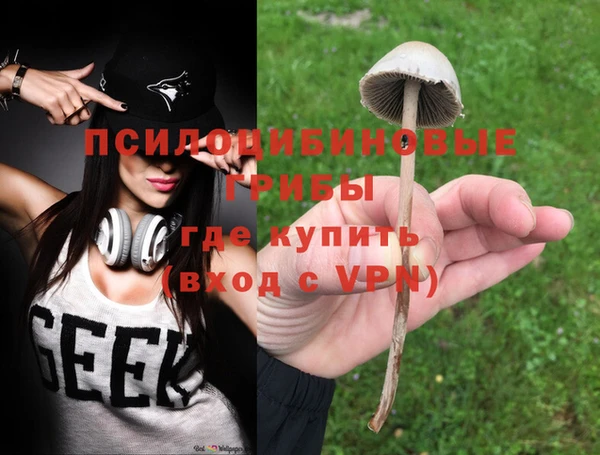мет Бородино