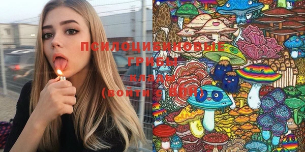 мет Бородино