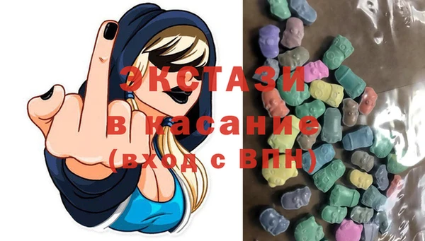 твердый Богданович