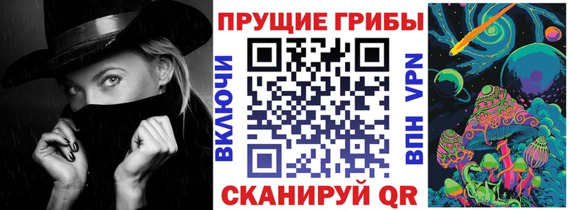 Псилоцибиновые грибы Psilocybine cubensis закладка Полтавская